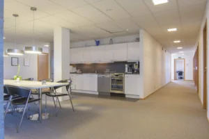 Montorg 7 web20160819 010